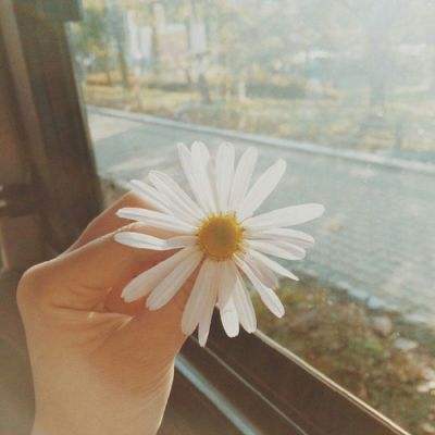 ayx爱游戏全站手机app下载